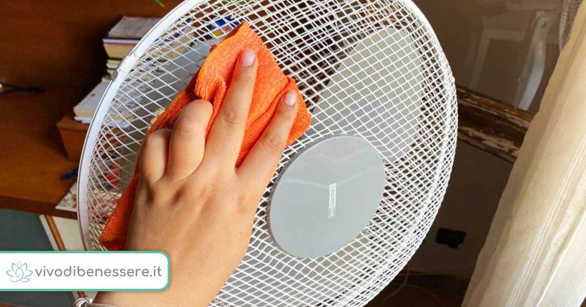 Pulizia dei Ventilatori come farla dopo un anno