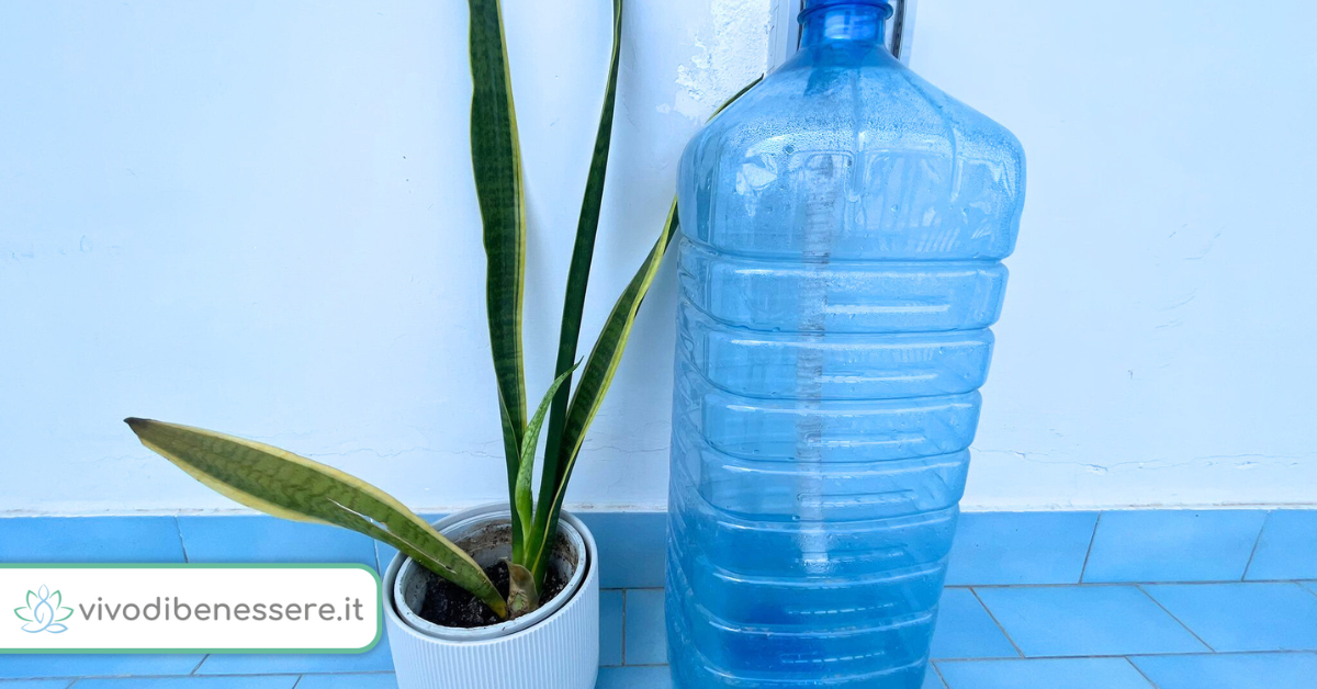 Come riutilizzare l’acqua del condizionatore?
