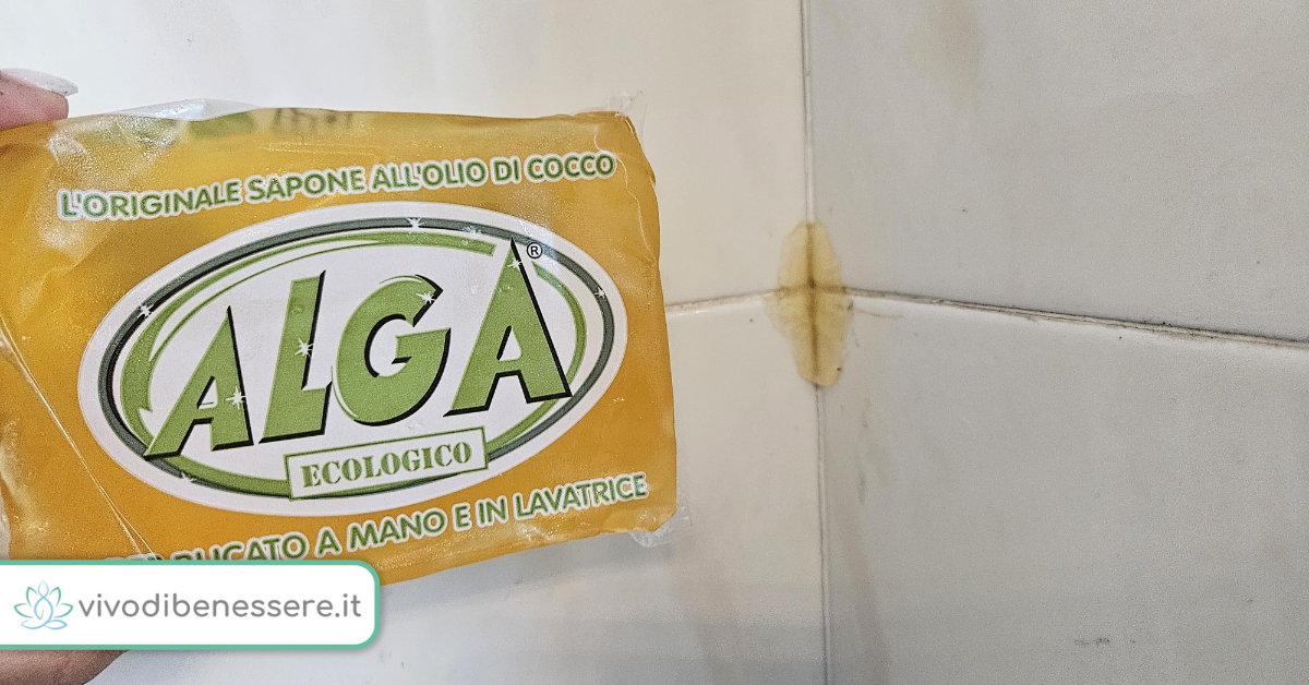Come allontanare le formiche con il sapone giallo
