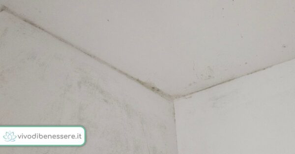 Le macchie di muffa negli angoli del bagno vanno via e non si riformano solo così