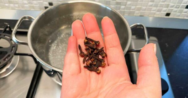 Sono una spezia per gli arrosti ma in pochi li usano per la casa