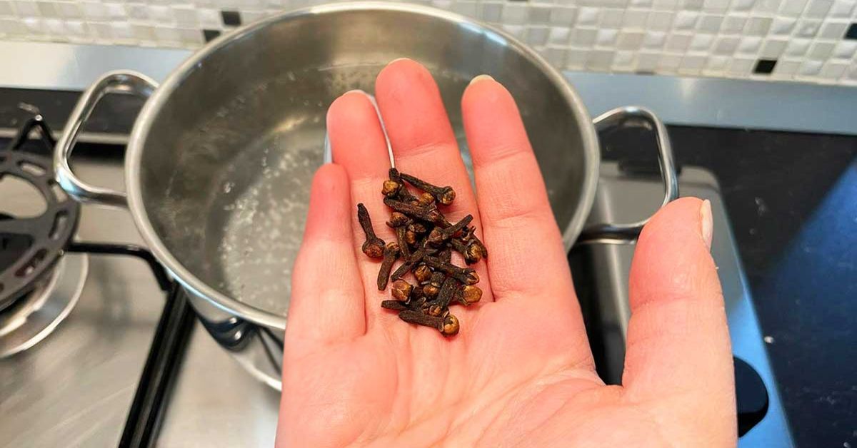 Sono una spezia per gli arrosti ma in pochi li usano per la casa