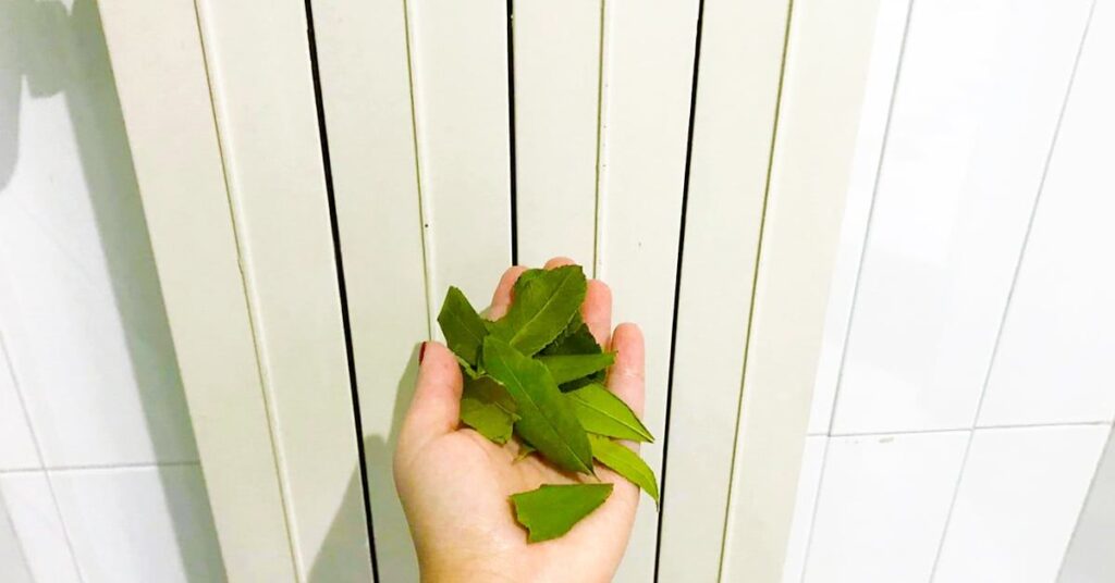 Per profumare casa bastano i termosifoni e una ciotola con questi ingredienti