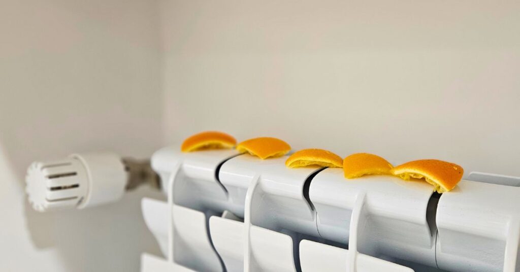 Come riutilizzare le bucce di arancia per profumare e pulire casa con zero sprechi Come riutilizzare le bucce di arancia per profumare e pulire casa con zero sprechi