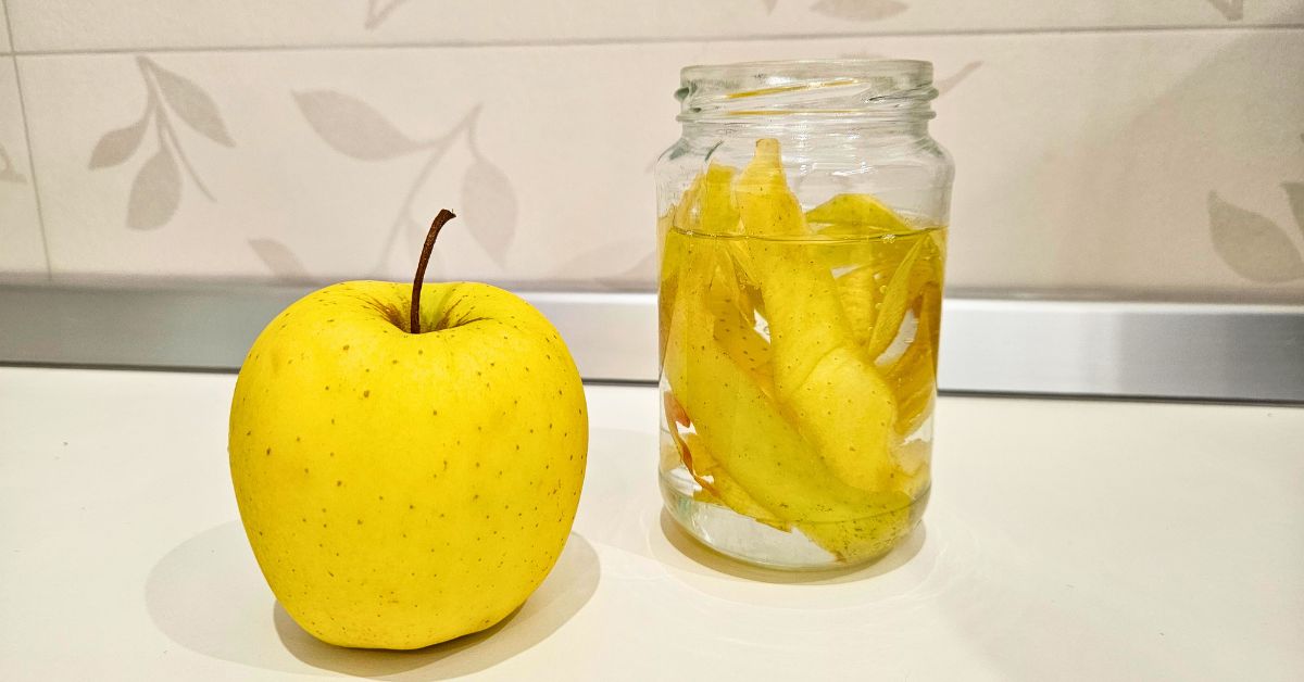 Se c’è la puzza in cucina questi barattoli mangia odori riportano il profumo di fresco Se c’è la puzza in cucina questi barattoli mangia odori riportano il profumo di fresco