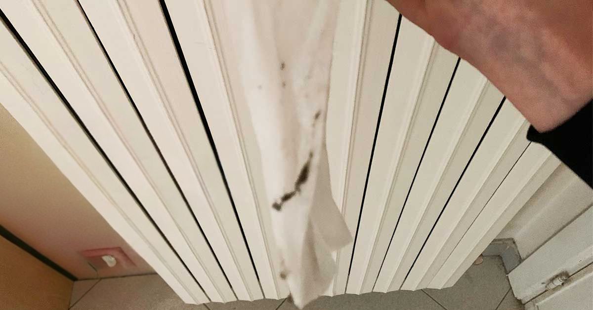 Questo è quello che trovi dietro ai termosifoni se non si è attenti alla muffa