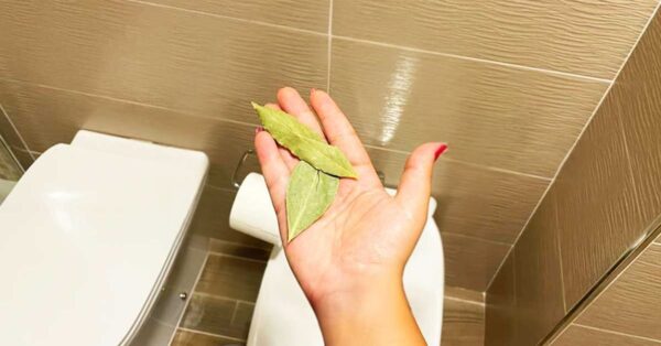 Se dal bagno risale sempre la puzza di foglia agisco su scarichi e ricambio d’aria