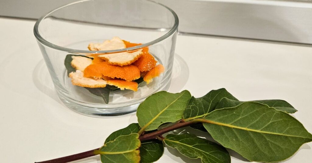 Questo barattolo autunnale sui termosifoni profuma la casa e toglie la puzza di umido Questo barattolo autunnale sui termosifoni profuma la casa e toglie la puzza di umido