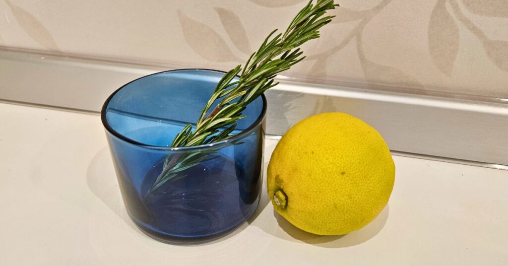 Questo vasetto con limone e rosmarino eliminerà tutti i cattivi odori se lo metti sul termosifone Questo vasetto con limone e rosmarino eliminerà tutti i cattivi odori se lo metti sul termosifone