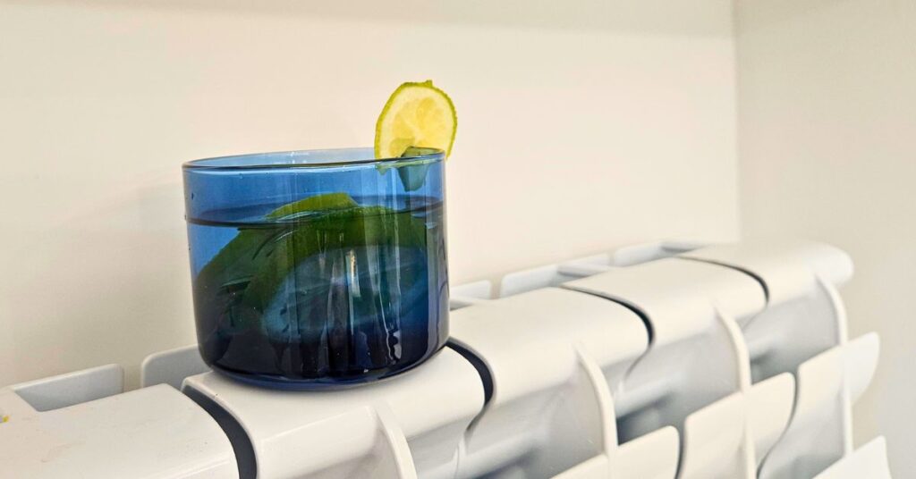 Questo vasetto con limone e rosmarino eliminerà tutti i cattivi odori se lo metti sul termosifone Questo vasetto con limone e rosmarino eliminerà tutti i cattivi odori se lo metti sul termosifone