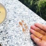 Quando ci sono i piccioni in balcone basta una manciata di polvere per risolvere