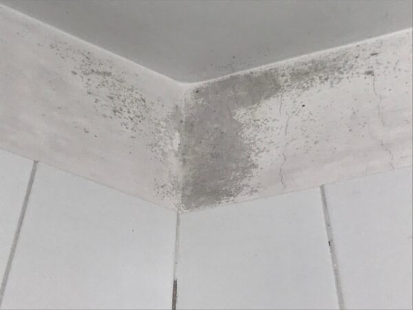 Per far sparire la muffa c’è il metodo anti umidità