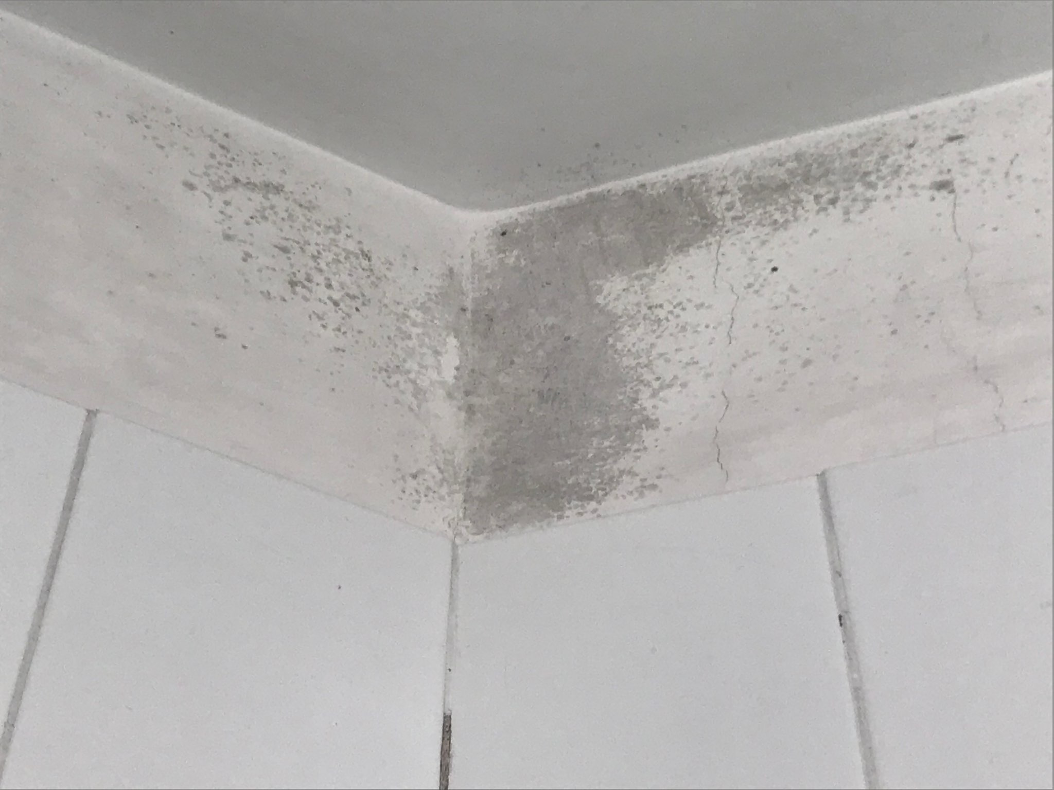 Per far sparire la muffa c’è il metodo anti umidità Per far sparire la muffa c’è il metodo anti umidità