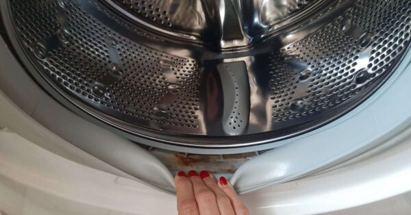 Quella parte della lavatrice che nessuno pulisce e che rovina l’odore del bucato