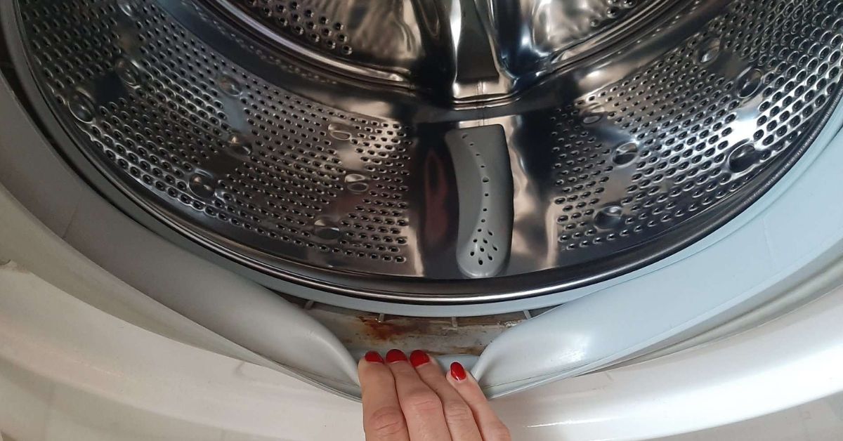Quella parte della lavatrice che nessuno pulisce e che fa puzzare il bucato Quella parte della lavatrice che nessuno pulisce e che fa puzzare il bucato