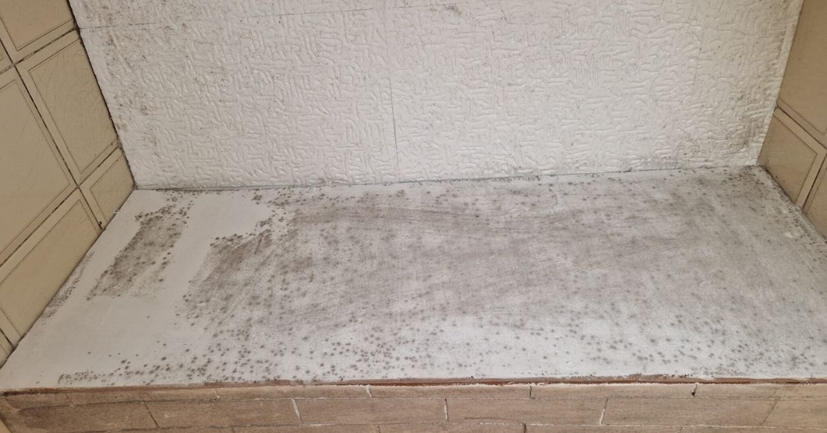 Muffa in casa: gli errori comuni che la peggiorano Muffa in casa: gli errori comuni che la peggiorano