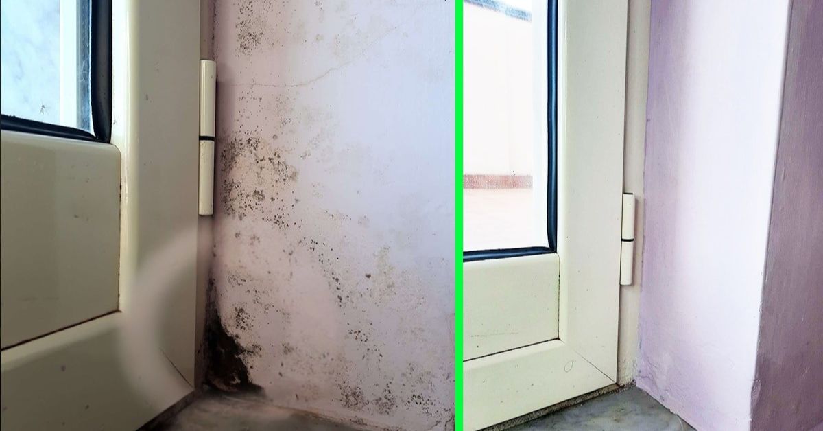 Muffa su infissi e guarnizioni: stop alla condensa Muffa su infissi e guarnizioni: stop alla condensa