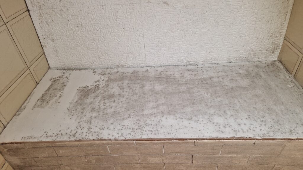 Galleria foto 'Muffa in casa: gli errori comuni che la peggiorano' - foto 1