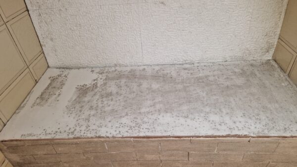 Muffa in casa: gli errori comuni che la peggiorano