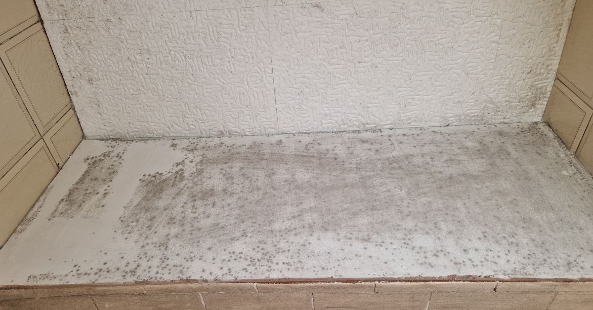 Per far sparire la muffa c’è il metodo anti umidità Per far sparire la muffa c’è il metodo anti umidità