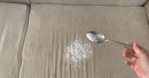 I Divani e tappeti necessitano di pulizia ma si può fare senza bagnarli