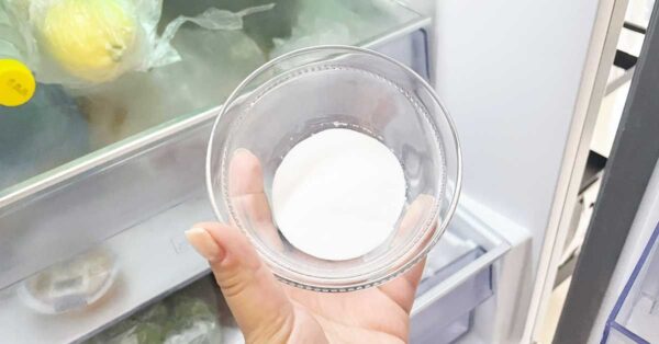 Il trucco della tazzina per assorbire la puzza di cibo dal frigo