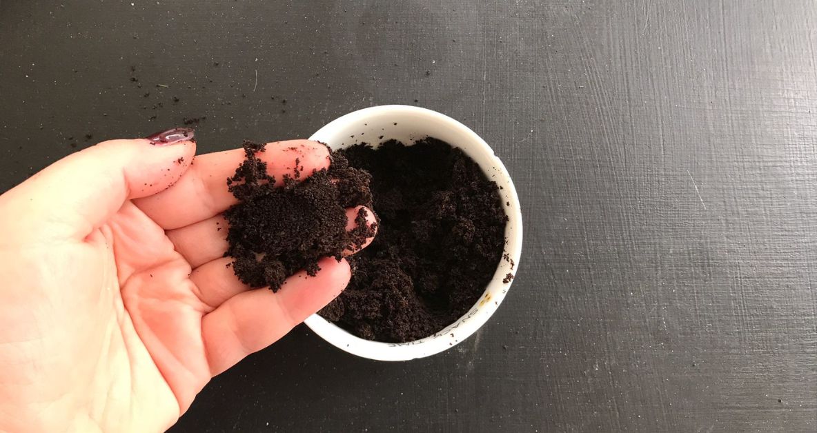 Il segreto dell’ingrediente che assorbe l’odore di pesce in casa Il segreto dell’ingrediente che assorbe l’odore di pesce in casa