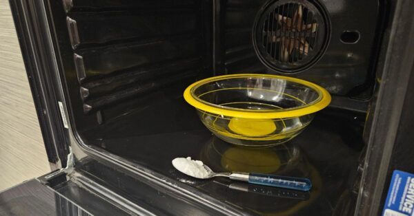 L’errore che rovina il rivestimento del forno durante la pulizia