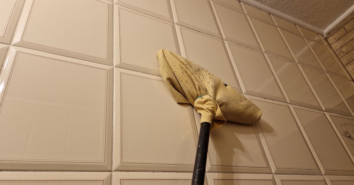 La patina di sapone e calcare che rende opache le mattonelle del bagno La patina di sapone e calcare che rende opache le mattonelle del bagno