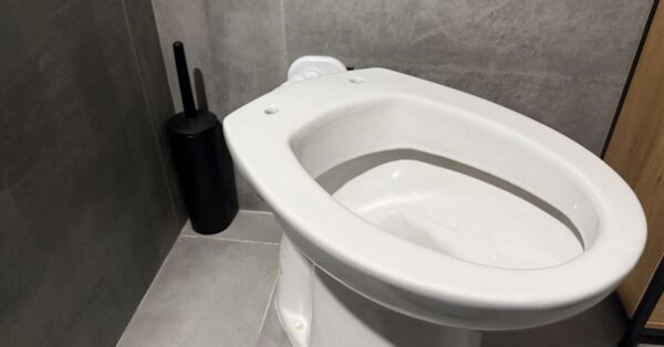 Il rimedio per sbiancare lo scopino del wc eliminando i cattivi odori