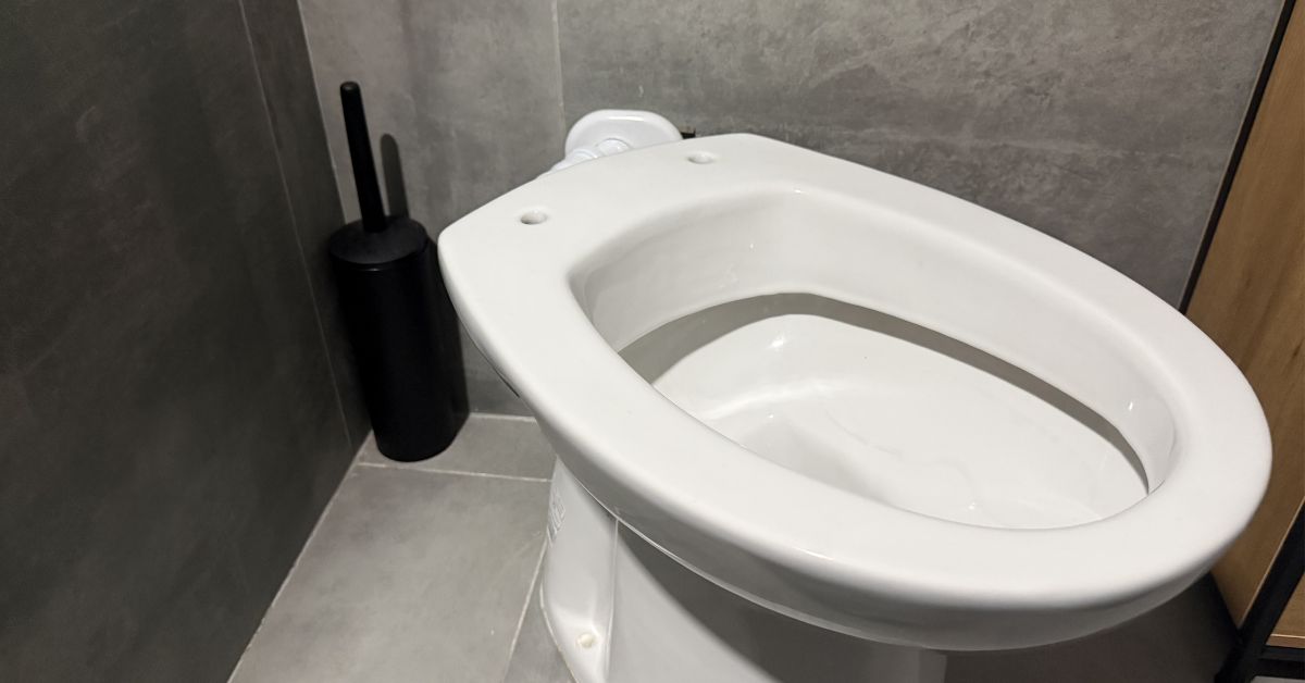 Il rimedio per sbiancare lo scopino del wc eliminando i cattivi odori Il rimedio per sbiancare lo scopino del wc eliminando i cattivi odori