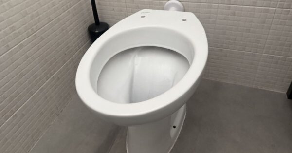 Il punto del bagno che non pulisci mai internamente e che rovina il tuo wc