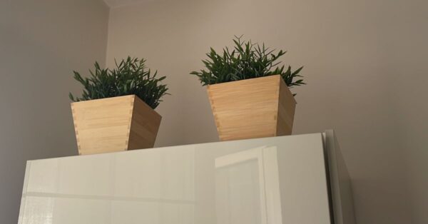 Come togliere la polvere dalle piante finte