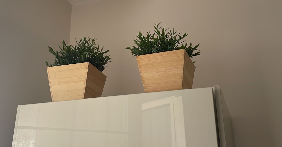 Come togliere la polvere dalle piante finte Come togliere la polvere dalle piante finte