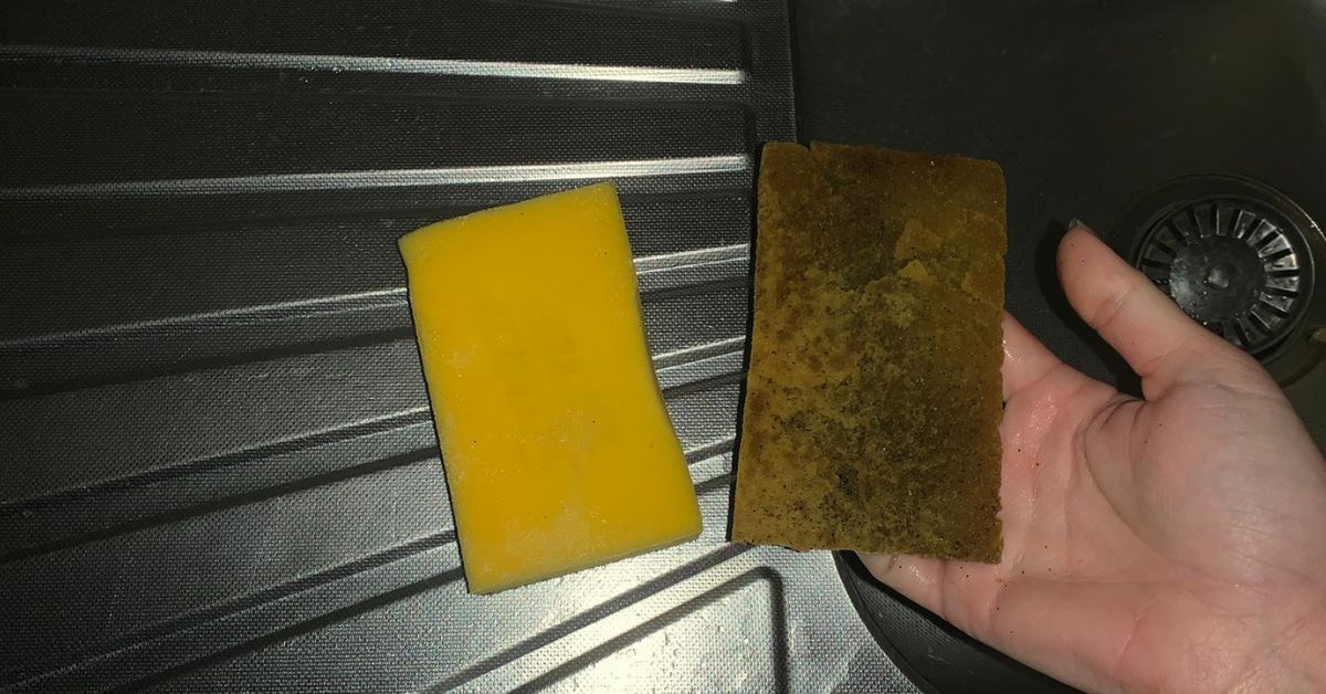 Perché le spugne puzzano subito e l ingrediente che le salva Perché le spugne puzzano subito e l ingrediente che le salva