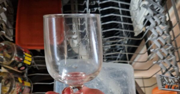 Il motivo per cui i bicchieri puzzano anche dopo la lavastoviglie