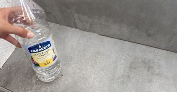 Come tenere lontane le formiche dal balcone