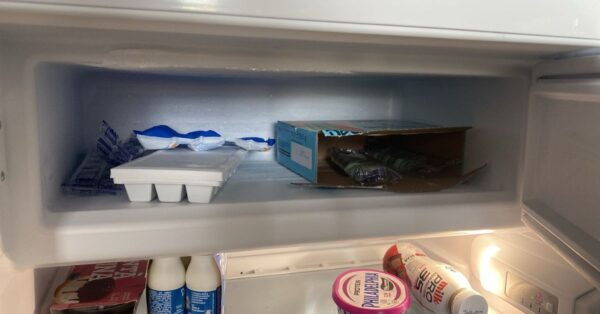 Il freezer ha accumulato ghiaccio e odori, cosa controllare al rientro dalle ferie