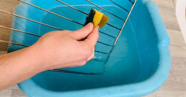 Il modo più semplice per ammorbidire lo sporco sulle griglie del forno