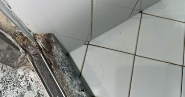 Il trucco per togliere la muffa dagli angoli della doccia