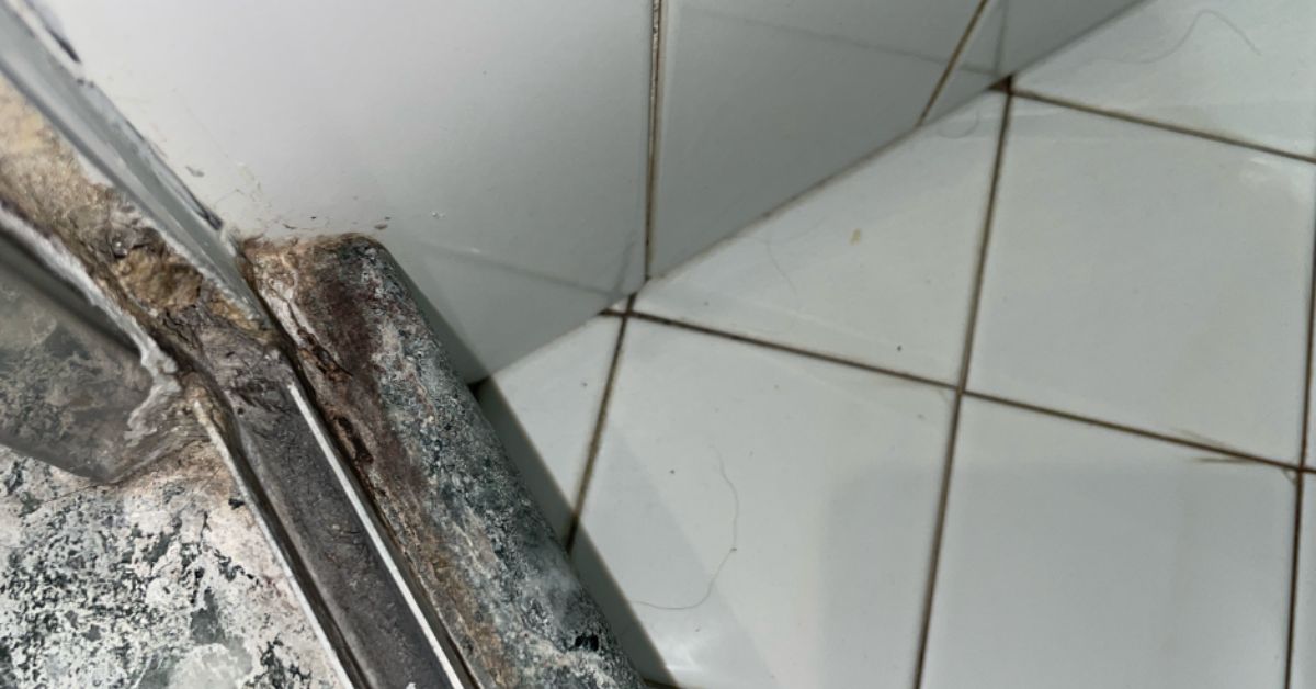 Il trucco per togliere la muffa dagli angoli della doccia Il trucco per togliere la muffa dagli angoli della doccia